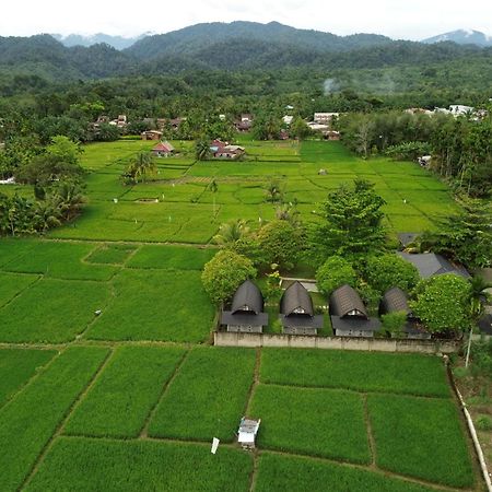 Gino'S Place - Guest House & Jungle Trekking 부킷 라왕 외부 사진