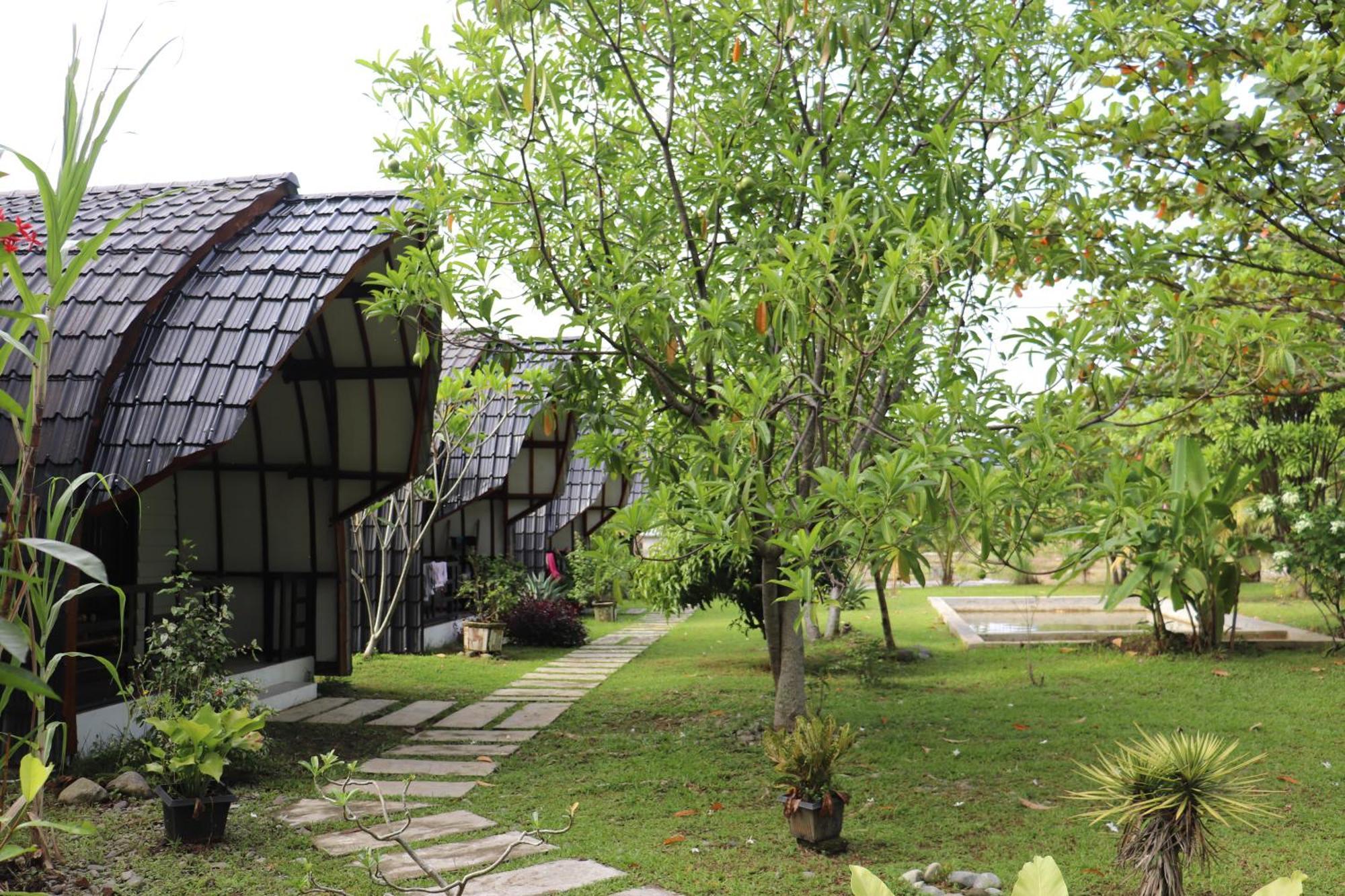 Gino'S Place - Guest House & Jungle Trekking 부킷 라왕 외부 사진