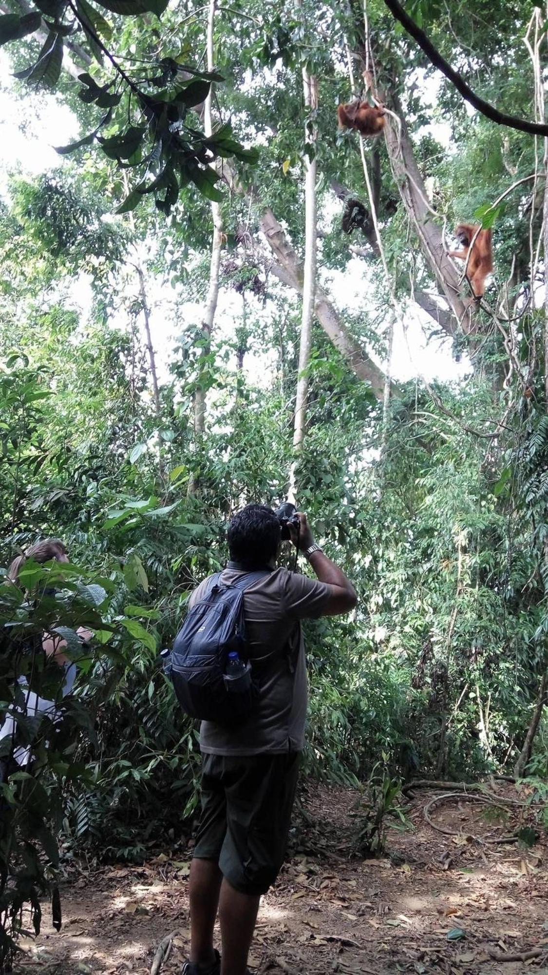 Gino'S Place - Guest House & Jungle Trekking 부킷 라왕 외부 사진