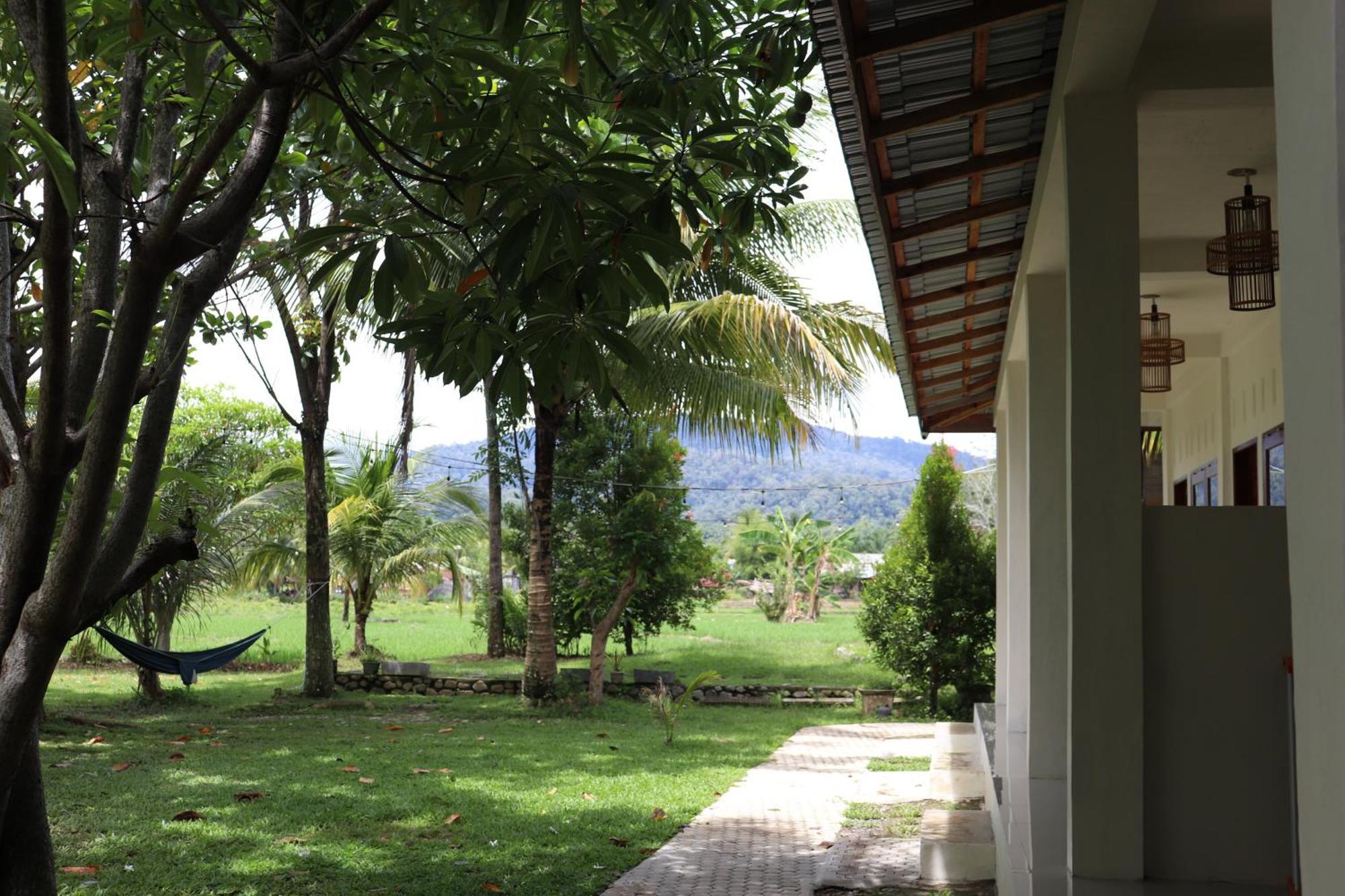 Gino'S Place - Guest House & Jungle Trekking 부킷 라왕 외부 사진
