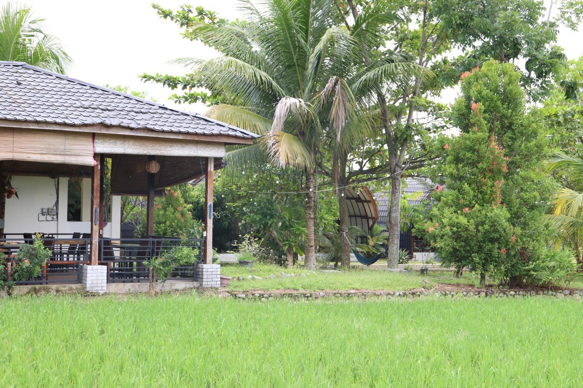 Gino'S Place - Guest House & Jungle Trekking 부킷 라왕 외부 사진