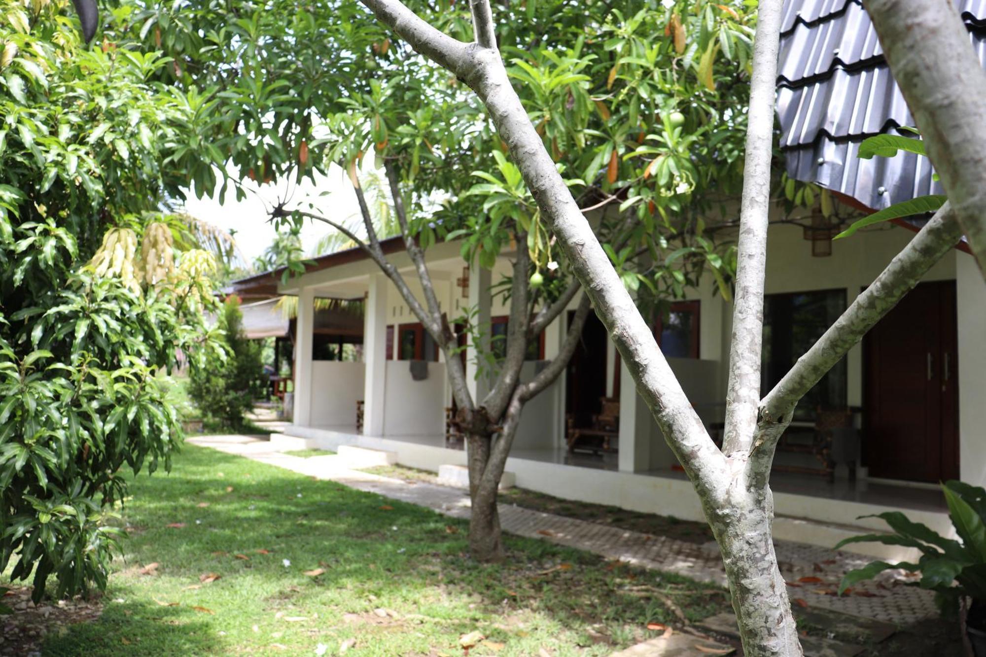 Gino'S Place - Guest House & Jungle Trekking 부킷 라왕 외부 사진