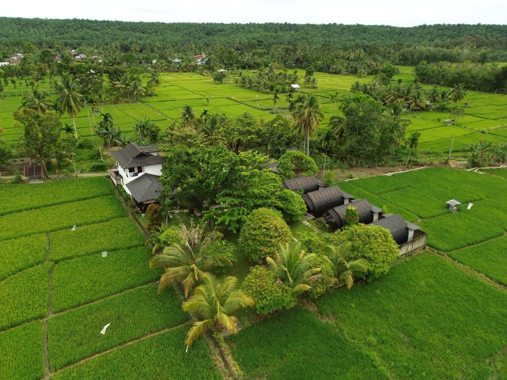 Gino'S Place - Guest House & Jungle Trekking 부킷 라왕 외부 사진