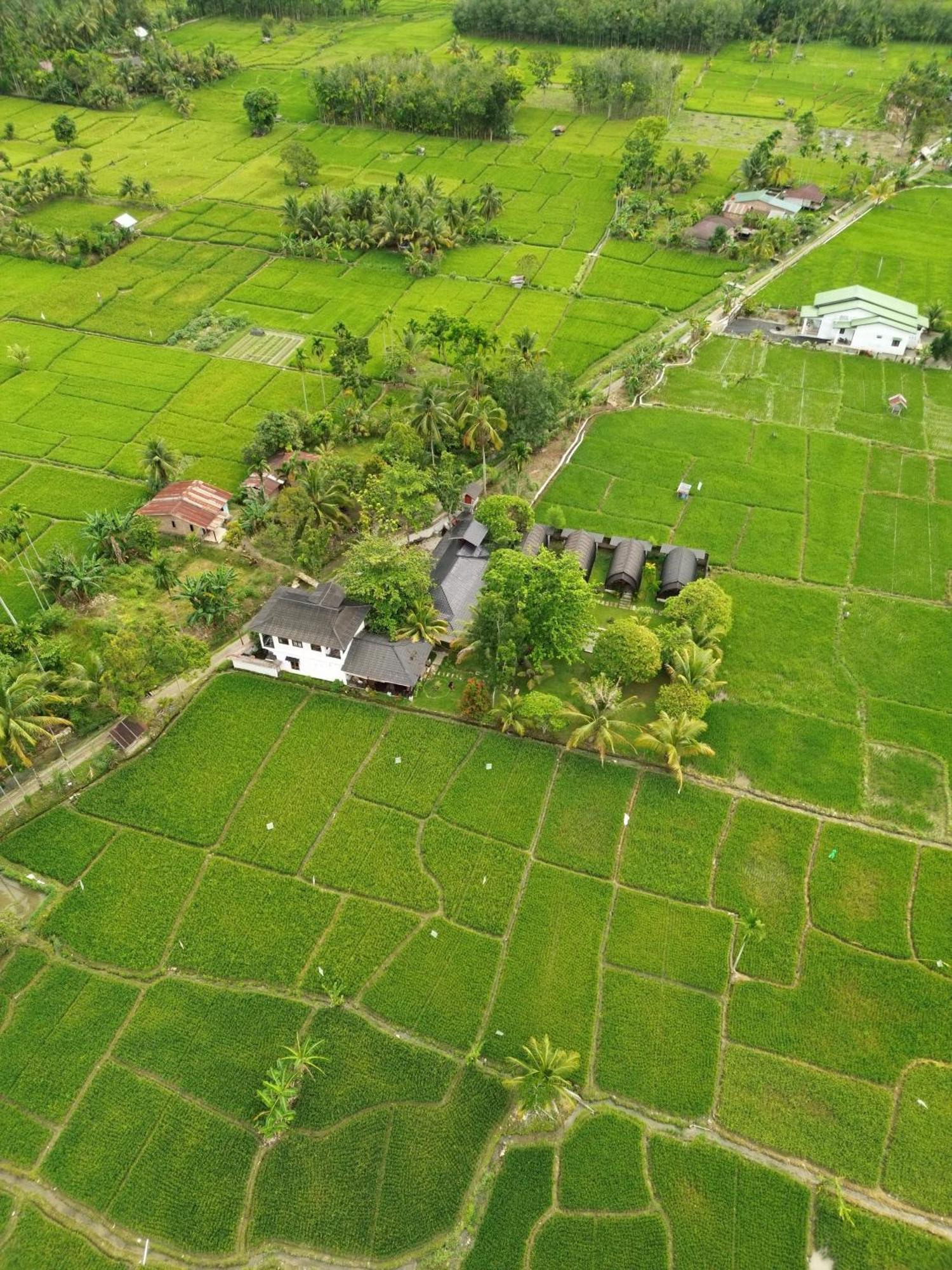 Gino'S Place - Guest House & Jungle Trekking 부킷 라왕 외부 사진